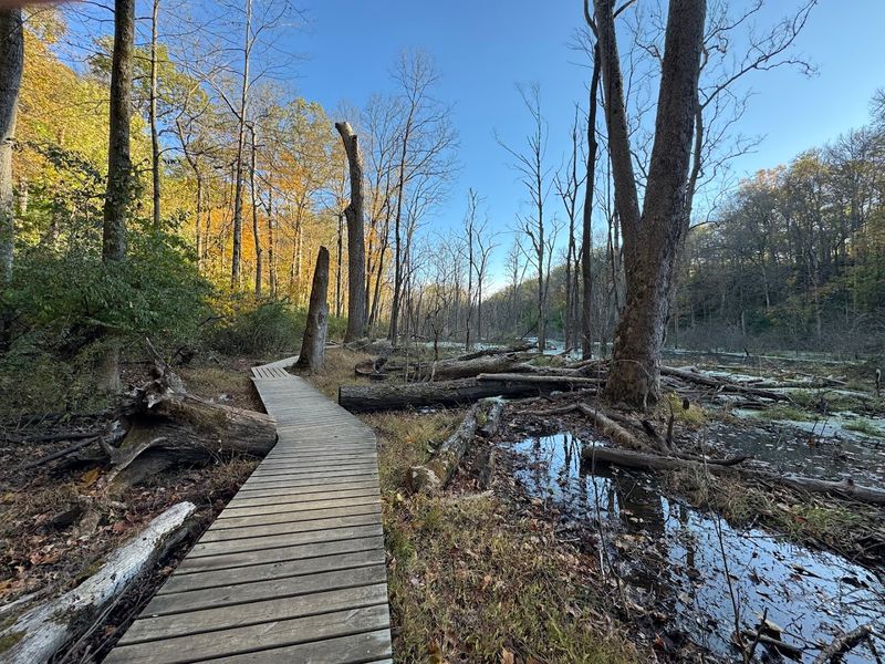 More Than 20 Miles of Trails: Something for Every Kind of Hiker