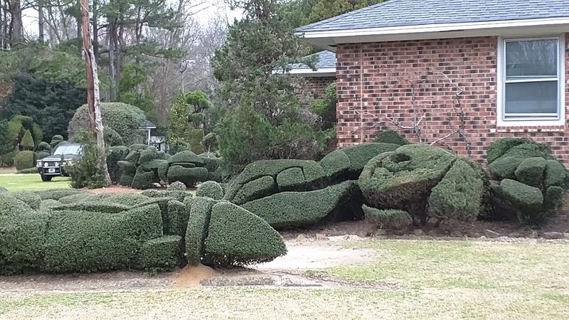More Than Gardening, Honestly More Than Gardening, Honestly