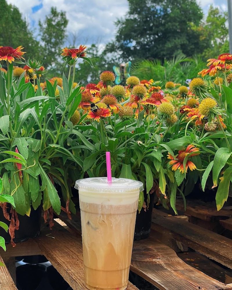 Morning at the Cafe Is Something Special
