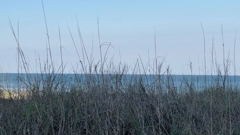 Mornings Still Feel Softer, But Not For Long