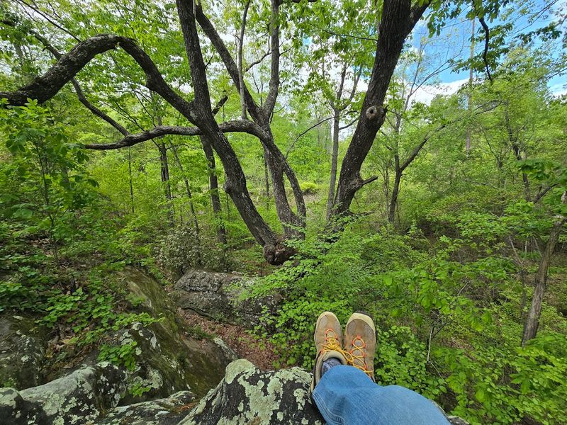 Moss Rock Preserve