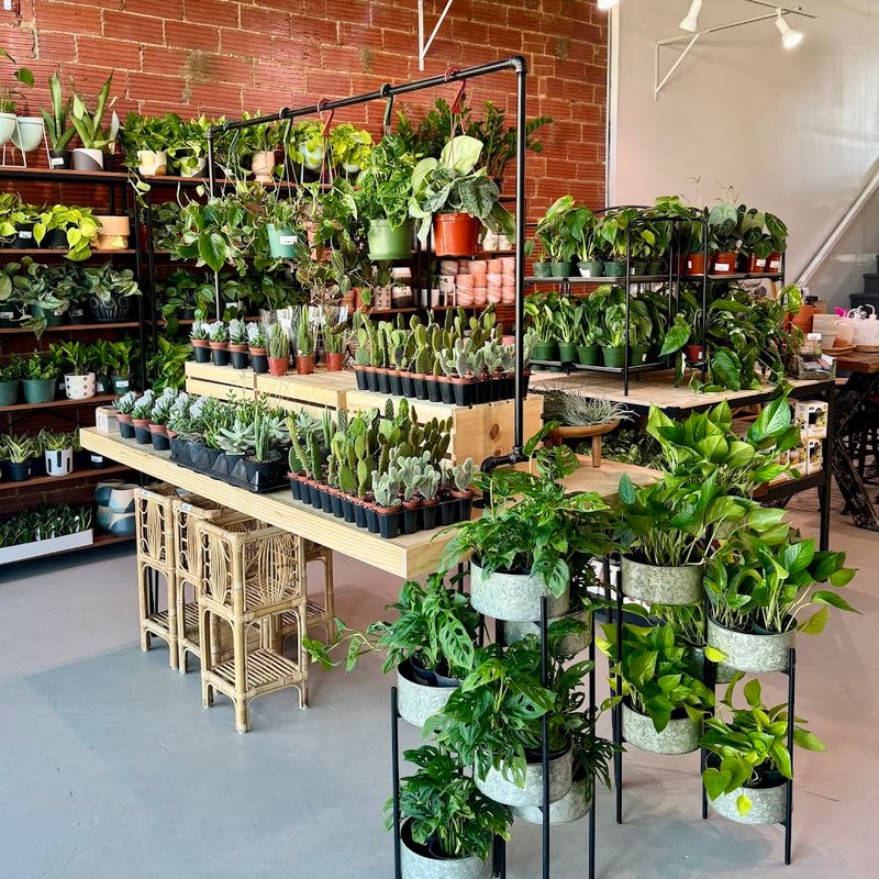 Moss Wall Art That Transforms the Space