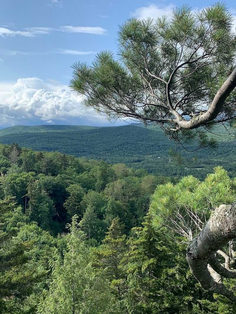 Mount Washington Views That Stop You Mid-Zip