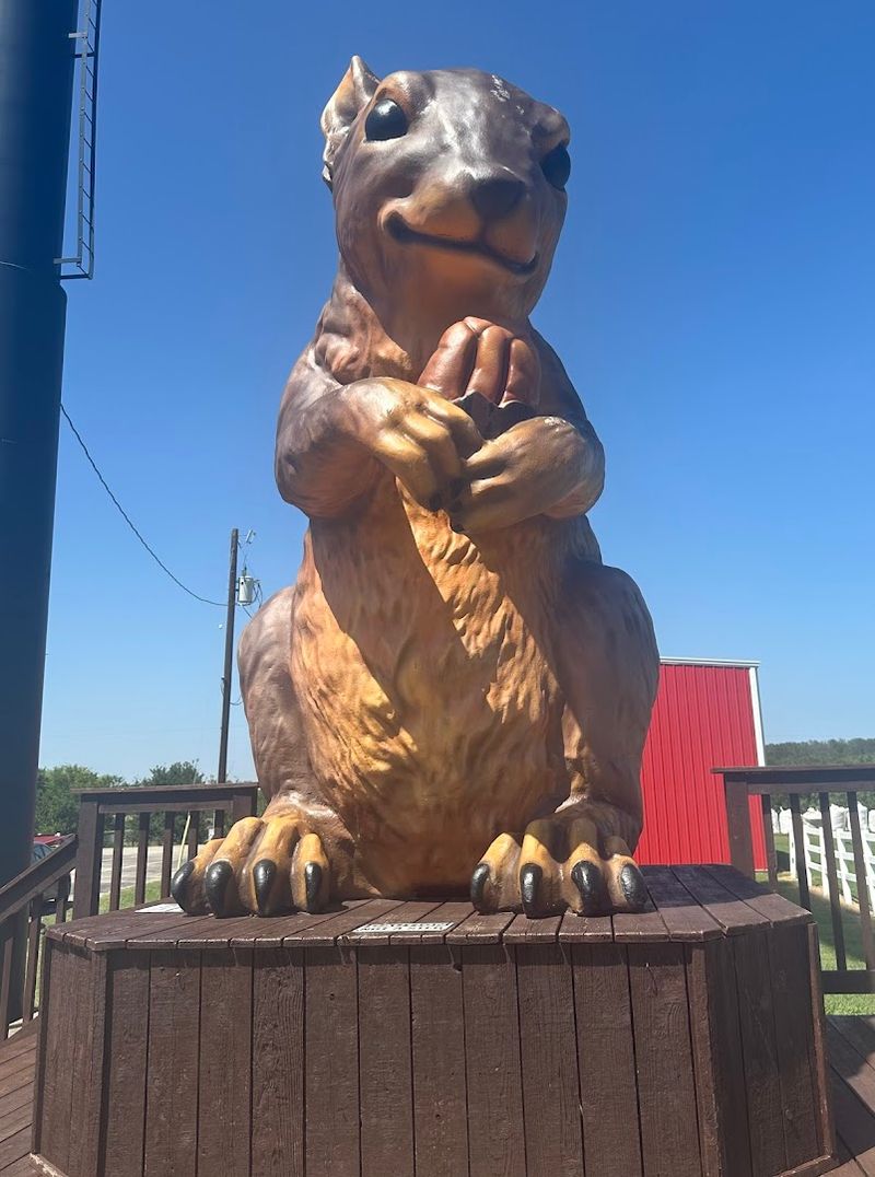 Ms. Pearl the Squirrel