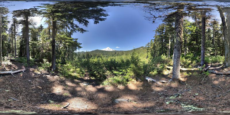 Mt. Hood National Forest: A Landscape That Dwarfs Everything