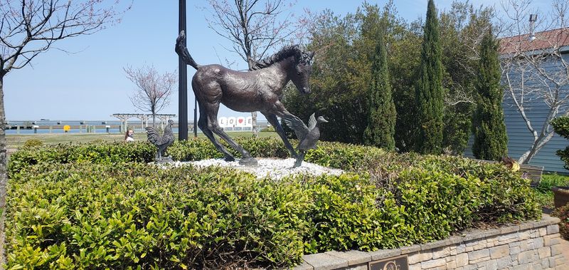 Museum of Chincoteague Island, Stories Worth Knowing