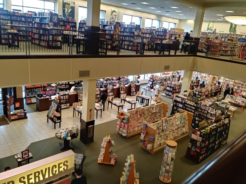 Music, Movies, and More Beyond the Books