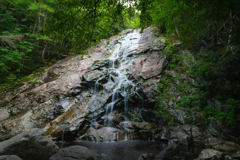 Nancy Cascades, Livermore