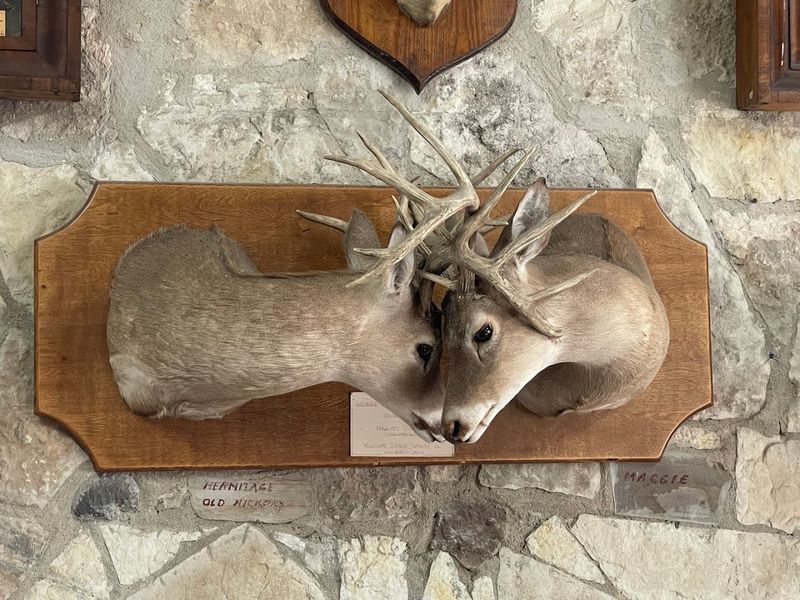 Native American and Pioneer Collections Worth Seeing