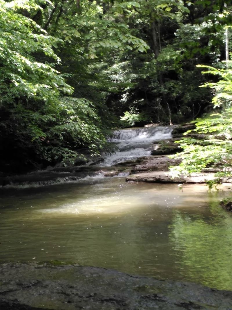 Natural Bridge State Park Will Leave You Speechless