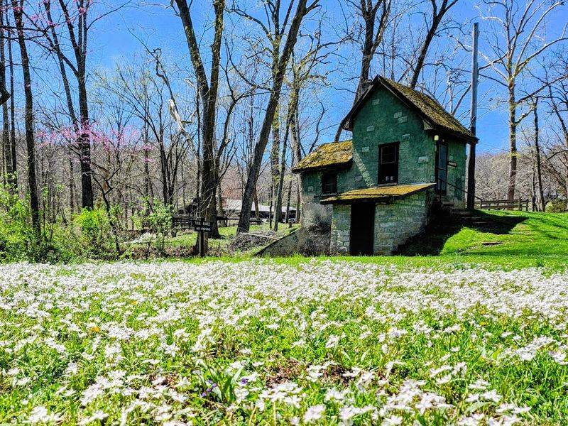 Natural Flower Gardens and Wildlife