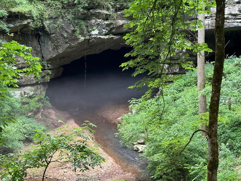 Nature Trails That Reward the Curious Hiker