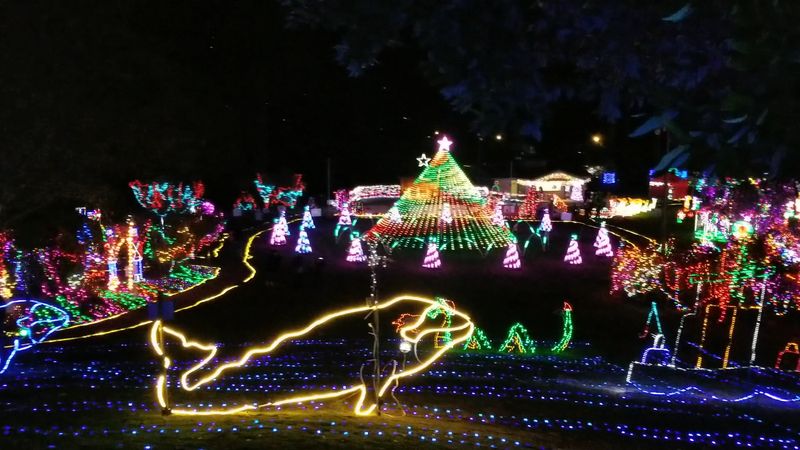 Nature's Coastal Holiday Festival of Lights