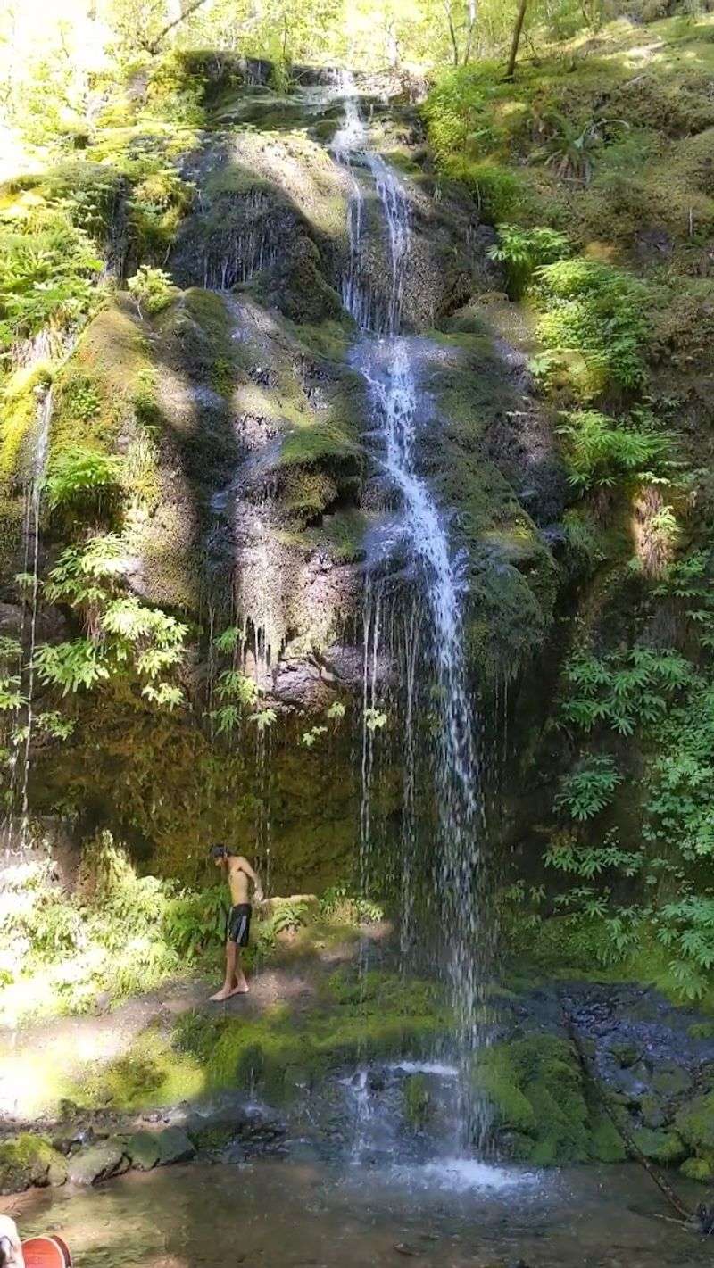 Nearby Waterfall Worth Adding To Your Trip