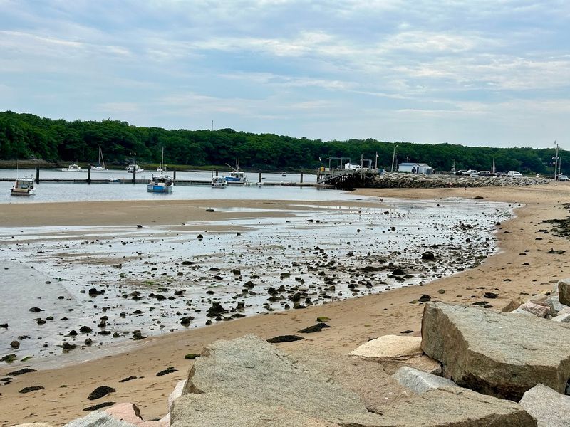 Nearly 40 Homes Lost to the Sea