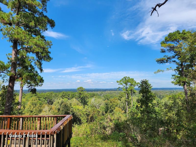 Neches Bluff Overlook: The Trail's Rewarding Finale Neches Bluff Overlook: The Trail's Rewarding Finale