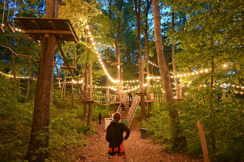 Night Climbs Under an Illuminated Forest Sky