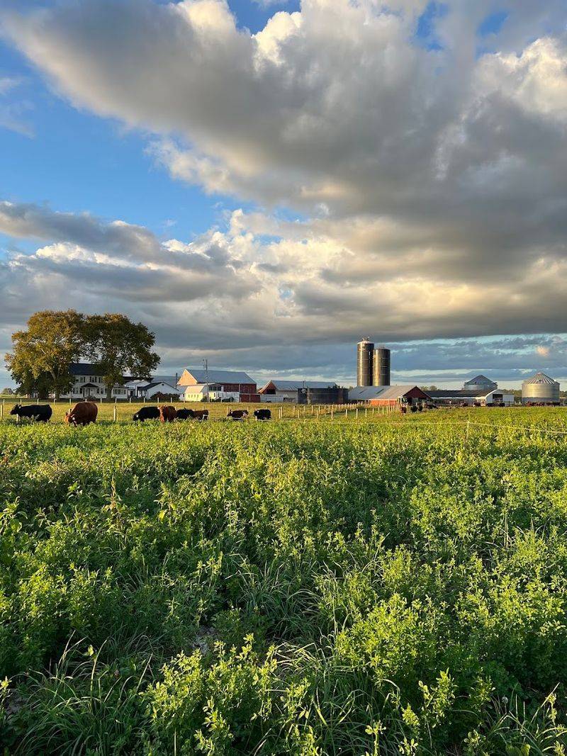 No-Till Farming and Regenerative Soil Practices No-Till Farming and Regenerative Soil Practices