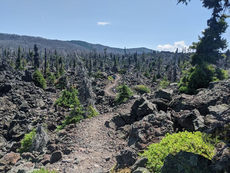 Off-Road ATV and Quad Trail Adventures