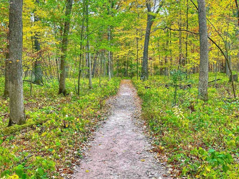 Old-Growth Forest That Feels Straight Out of a Fairy Tale Old-Growth Forest That Feels Straight Out of a Fairy Tale