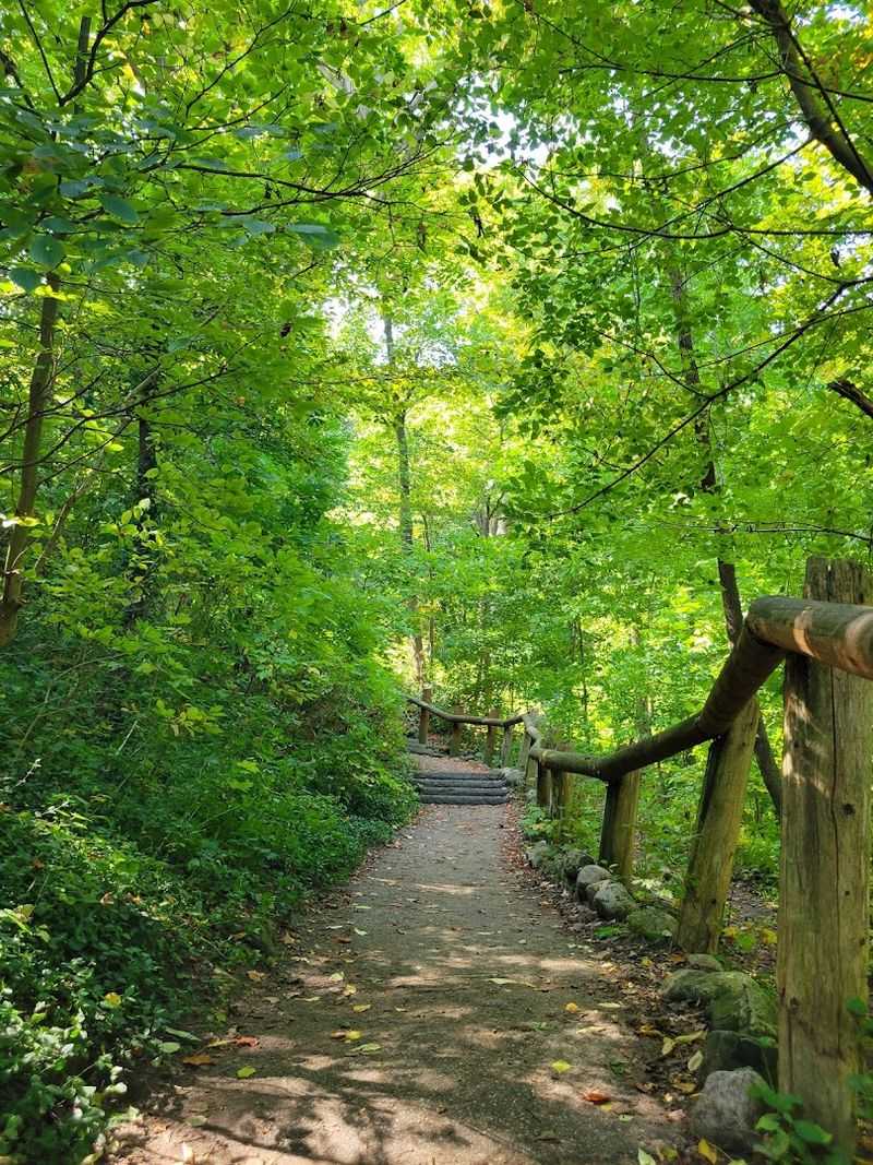 Old Trees, Forest Floors, and the Flora That Makes This Place Breathe