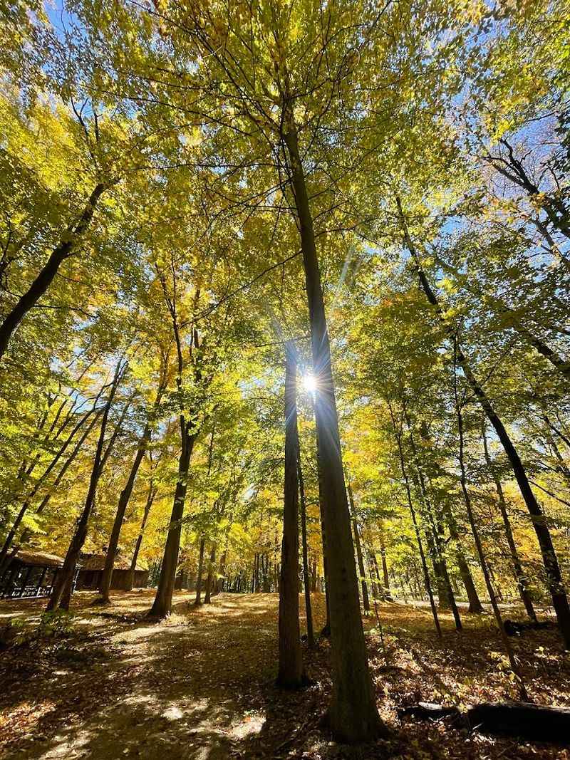 One of Indiana's Top Birdwatching Destinations