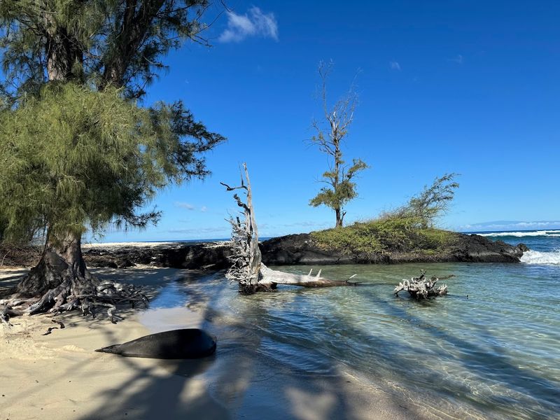 Opaeula Pond: The Hidden Freshwater Gem Behind the Beach