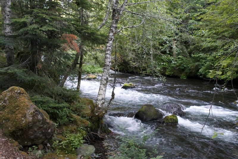 Opal Creek Wilderness Swimming Holes, Santiam Canyon, Oregon