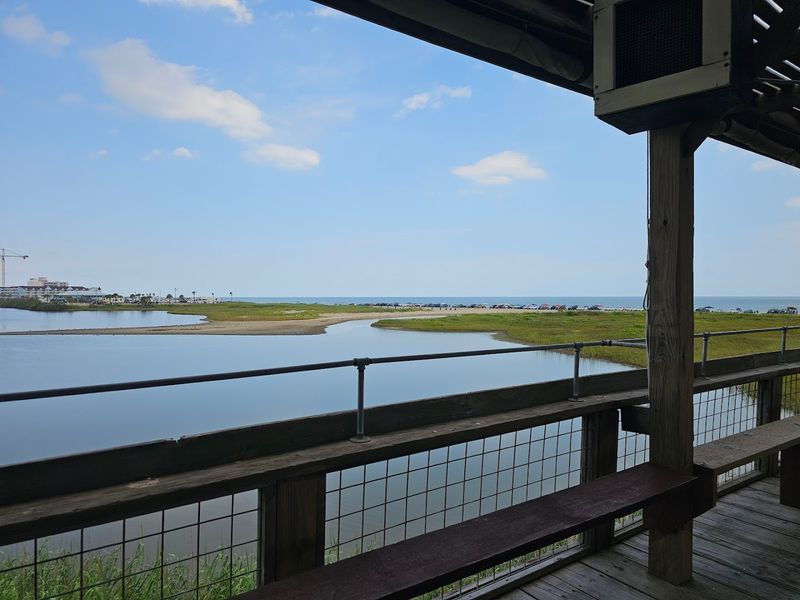 Open-Air Design That Brings the Outside In