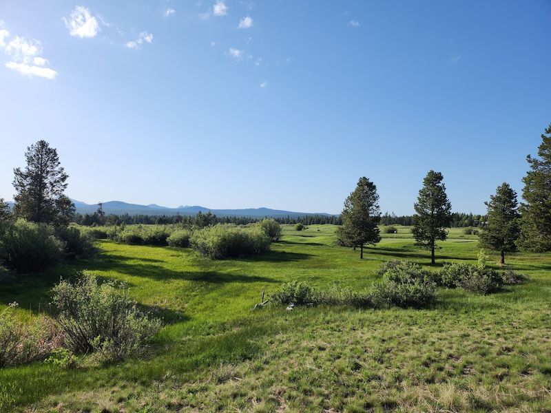 Operating Hours and How to Plan Your Visit