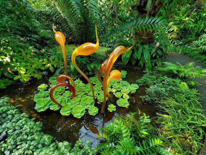 Orchid Shows Fill The Garden With Color