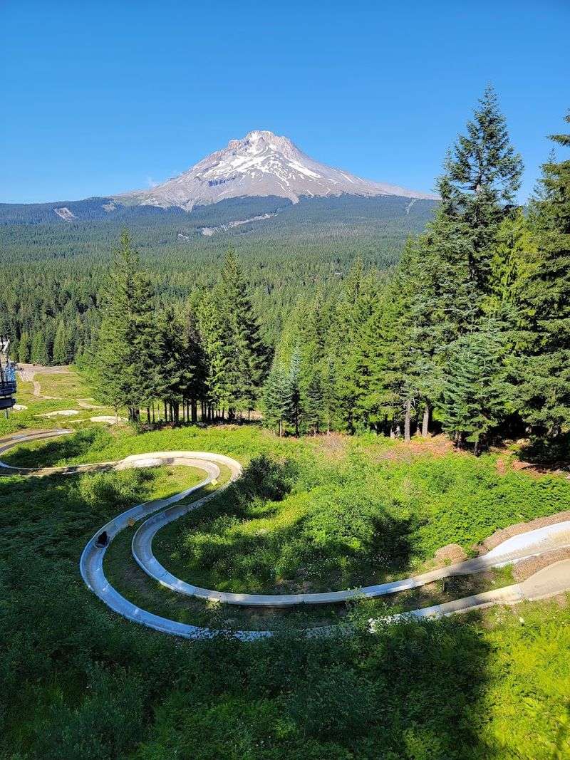 Oregon's Only Double Alpine Slide