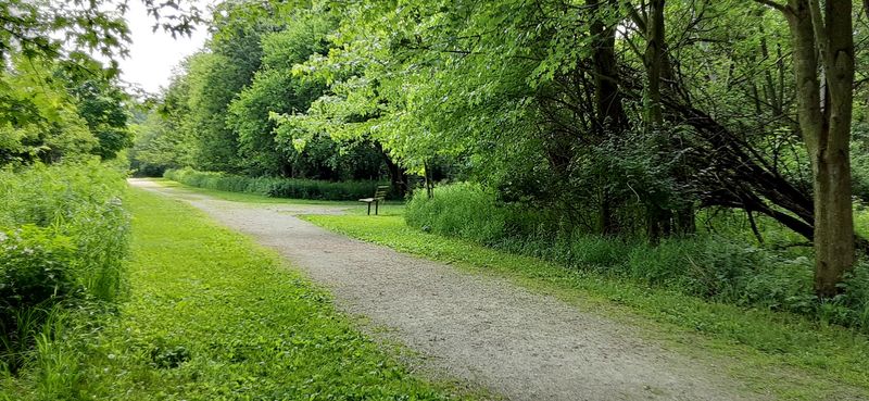 Outdoor Parks and Nature Trails Worth Exploring