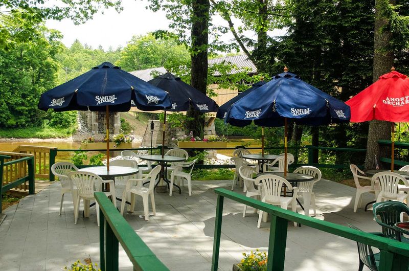 Outdoor Patio Dining With a Pet-Friendly Bonus