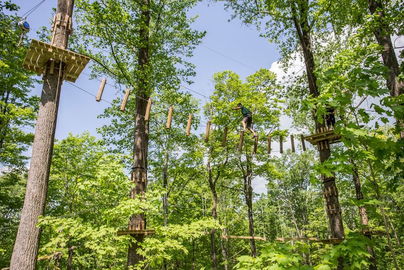 Over 100 Obstacles Spread Across 10+ Unique Courses