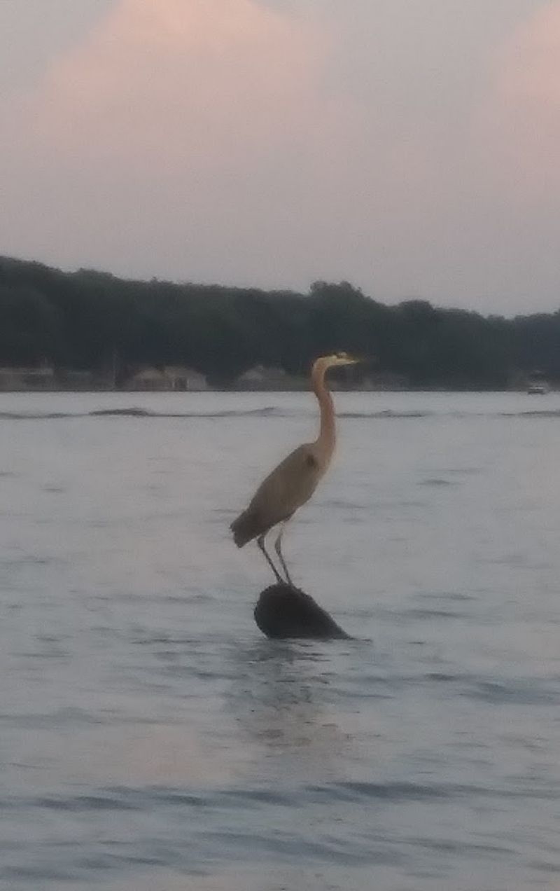 Over 150 Miles of Rocky Shoreline Perfect for Exploration