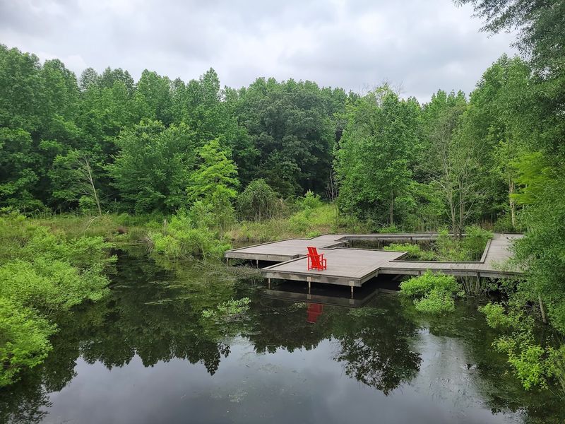 Over 180 Bird Species and Why This Place Is a Certified Bird Area Over 180 Bird Species and Why This Place Is a Certified Bird Area