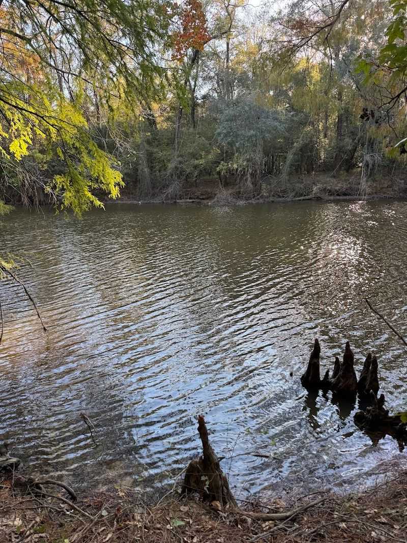 Over 200 Bird Species Call This Park Home