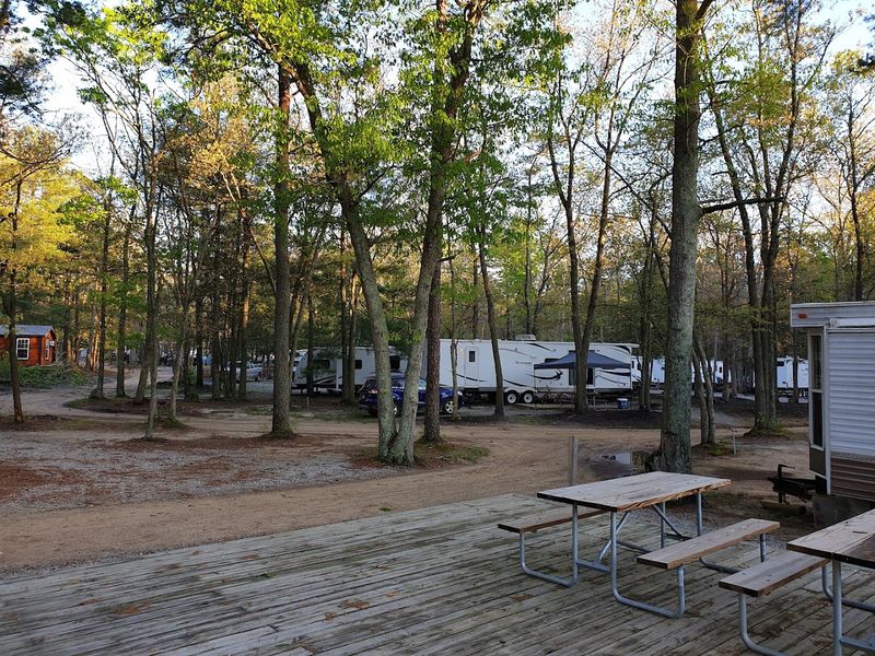 Over 300 Campsites for Every Style of Camper