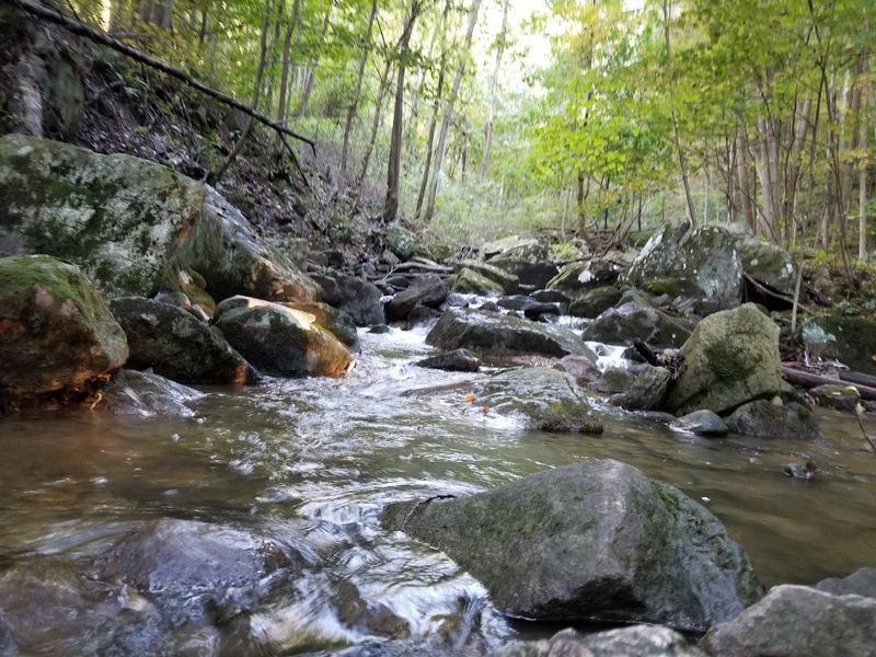 Over 4 Miles of Trails With Color-Coded Blazes to Guide You Over 4 Miles of Trails With Color-Coded Blazes to Guide You