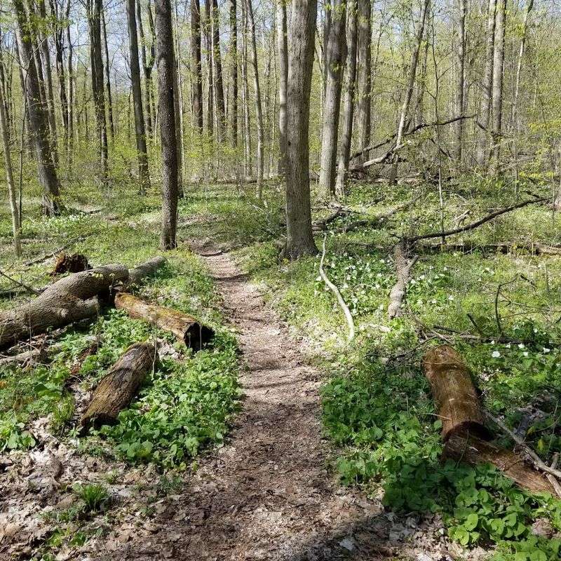 Over Five Miles of Trails Through Glacier-Shaped Terrain