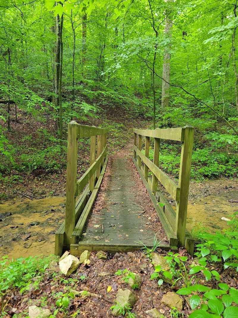 Over Ten Miles of Trails Built for Hikers and Mountain Bikers