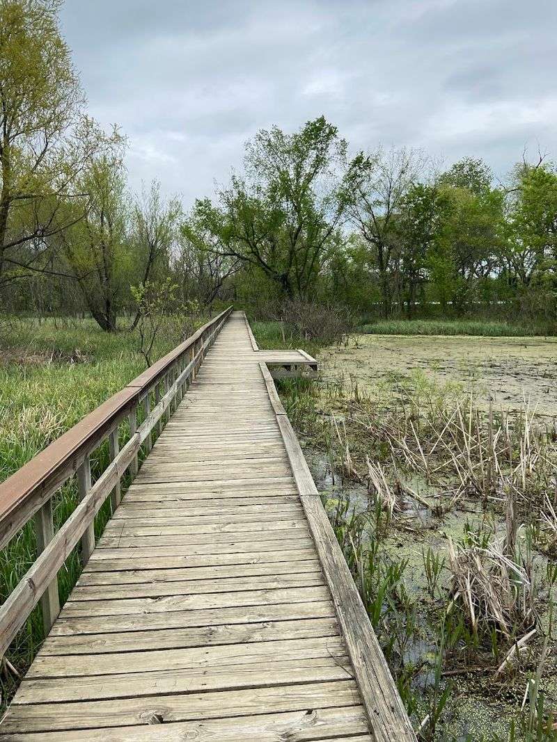 Oxley Nature Center Marsh Boardwalk, Tulsa
