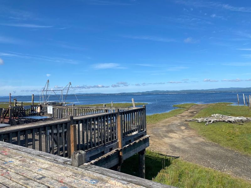 Oysterville Sea Farms and the Story Behind the Shells