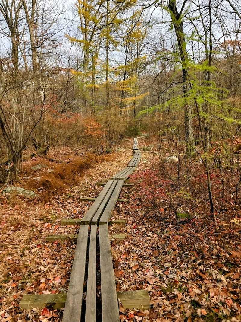 Parking, Trailheads, and Getting There
