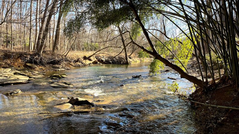 Patuxent River State Park
