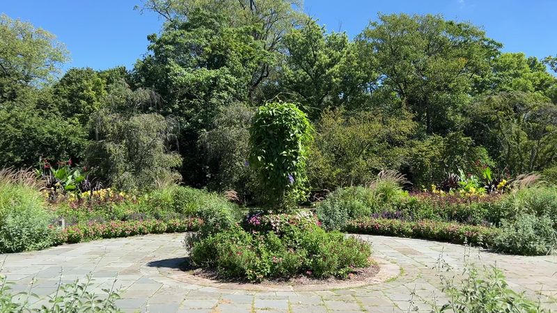 Peak Bloom Season, Why Late March Through April Is the Time to Visit