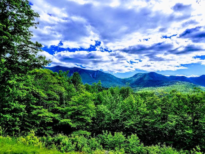 Pemigewasset Overlook and Its Jaw-Dropping Panorama