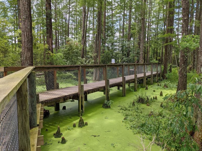 Perfect Day Trip From Gulf Shores and the Alabama Coast
