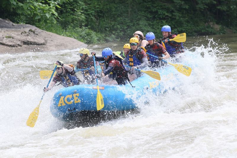 Perfect for Families and First-Timers